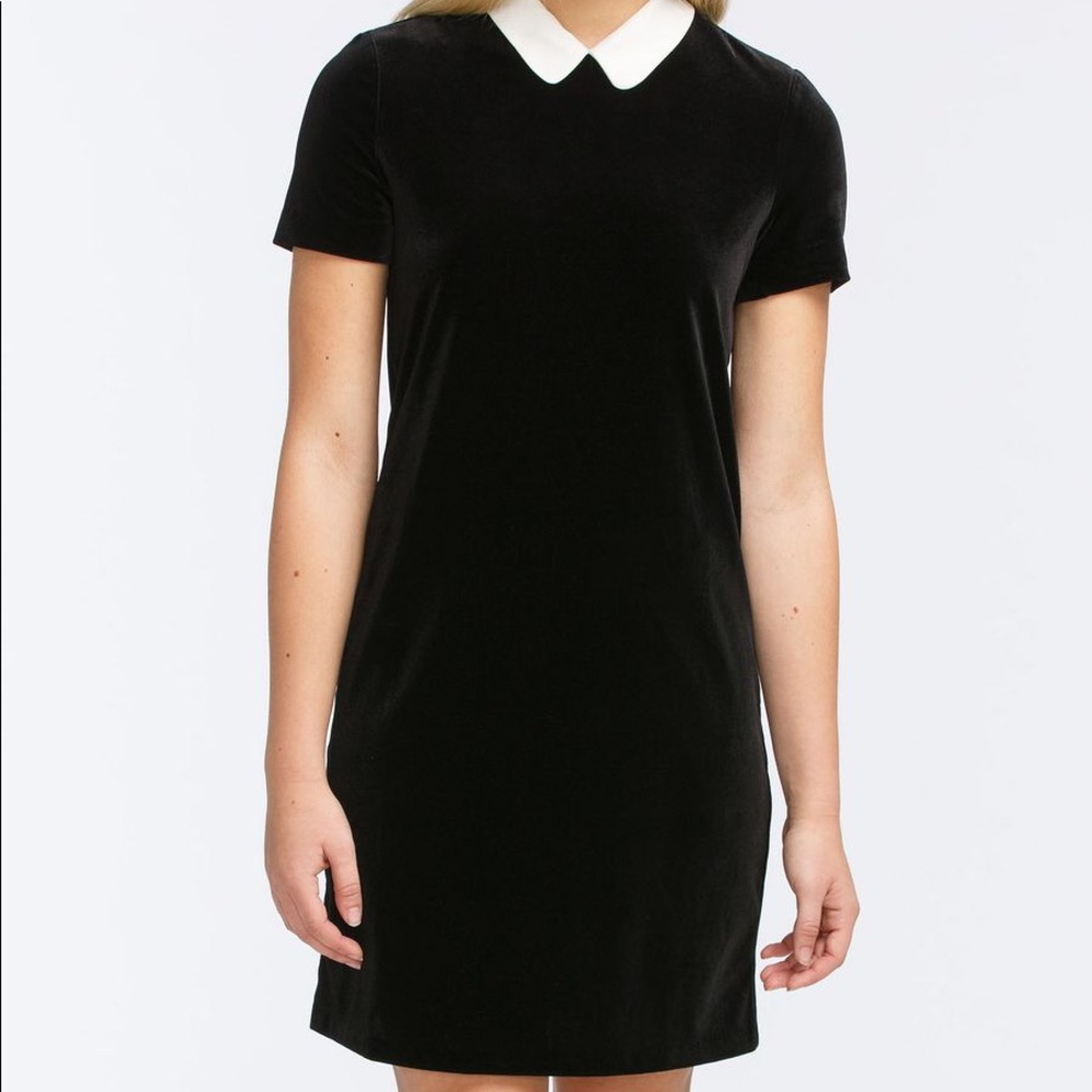 Black Velvet Armani Exchange Dress With Collar